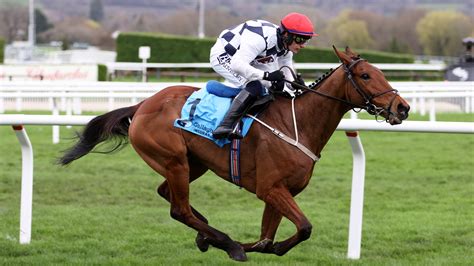 brown advisory chase odds|Brown Advisory Novices' Chase 2025 .